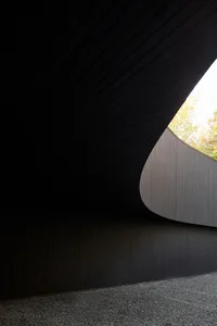 An interior space with curved, black wooden walls and a view of greenery outside