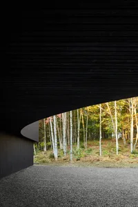 View of a modern minimalist architectural interior showcasing black-paneled walls and a curved ceiling.