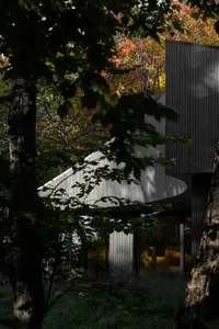 A modern residential exterior featuring wooden siding in a wooded area during winter.
