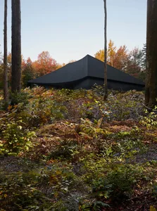 Modern residential house with black metal exterior surrounded by autumn foliage.