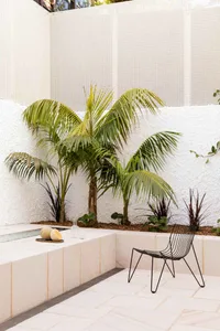 modern minimalist outdoor patio with concrete walls, palm trees, and a black metal chair with fruit and glasses.