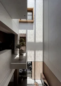 Modern interior space with concrete walls and floor, featuring natural light and green plants.
