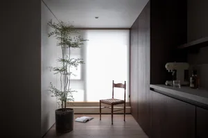 Minimalist home office space featuring wooden chair, potted plant, and glass window with blinds.