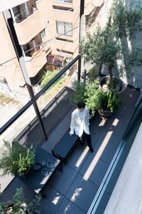 A minimalist apartment space featuring a living area with concrete flooring, potted plants, and a glass wall.