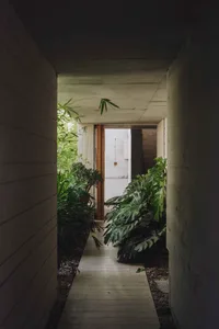 Concrete corridor with plants and a ceiling light.