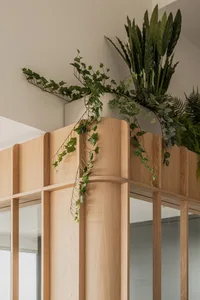 A modern interior design featuring a plant display made of wood.