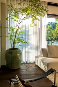Modern living room with a ceramic pot plant in a vase, white curtains, wooden flooring, and a white couch.