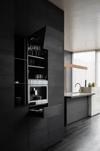 A modern kitchen with black wooden cabinets and metal accents, featuring built-in appliances and a minimalist design.