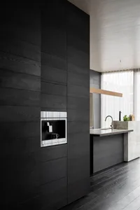 Modern kitchen with dark wood cabinets and minimalist design