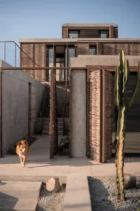 Modern residential structure with a concrete exterior and wicker detailing, featuring a dog walking toward the viewer.