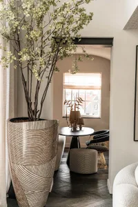A modern living room featuring a large plant in a decorative vase, minimalistic furniture, and a cozy atmosphere.