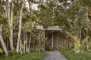 A modern house with a concrete exterior surrounded by lush greenery and trees.