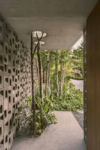 A modern house with a concrete wall and a tree in the courtyard.
