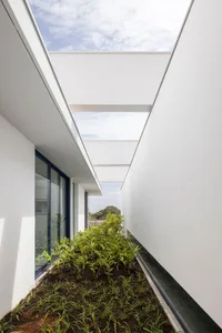 A modern, spacious interior with glass walls, concrete flooring, and green plants.