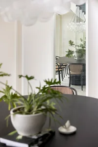 A modern dining room featuring wooden furniture and potted plants.