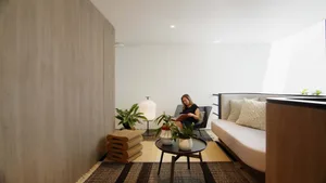 A modern living space with elegant sofa cushions and plants.