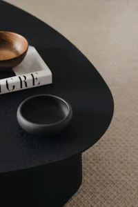 Black ceramic bowl, wooden bowl, and book on a black oval coffee table