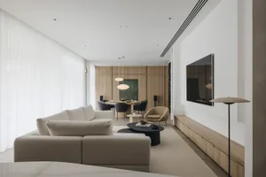 A modern living room with a contemporary sofa, wooden accents, and a minimalist decor style.