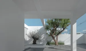 A minimalist landscape featuring concrete planters with greenery.