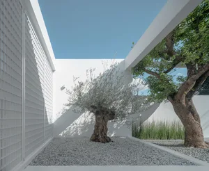 Minimalist garden with stone and concrete elements.