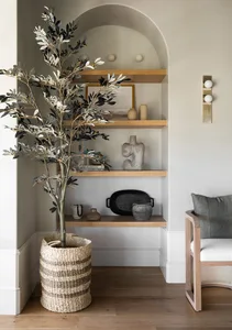A minimalist living room with wooden shelves, a potted plant, and a comfortable seating area.