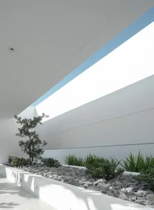 A modern interior design featuring a concrete garden with a skylight and greenery.