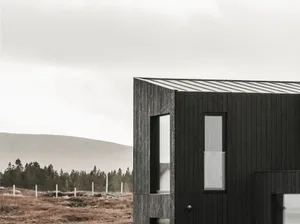 A modern house with a black exterior and a metal roof in a rural landscape.