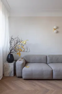 Modern living room featuring minimalistic furniture and a grey sofa.