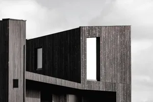 Modern house with dark wooden exterior