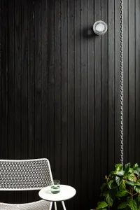 A minimalist white metal chair with black wooden paneling and green plants in the foreground.