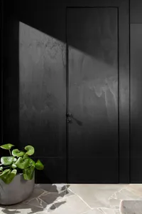 A modern black door entry with a potted plant.