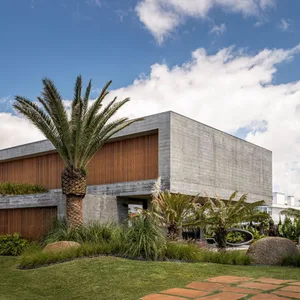 A modern house featuring a concrete exterior with a palm tree and a palm tree in the foreground.