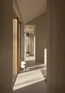 A minimalist modern hallway with wooden walls and flooring, featuring a white spherical lamp and a natural light atmosphere.