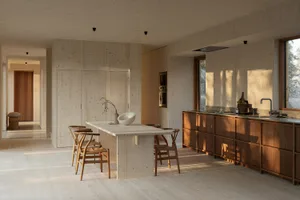 Modern residential kitchen with wooden floors, walls, and furniture.