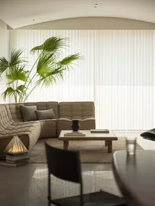 A minimalist living room with a comfortable sofa, a rectangular coffee table, a large palm plant, and large vertical blinds.