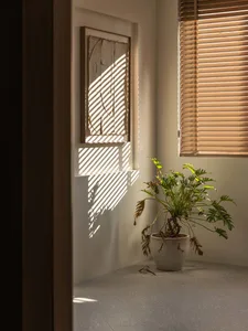 A modern interior space featuring a window with wooden blinds casting geometric shadows on the wall, and a potted plant.