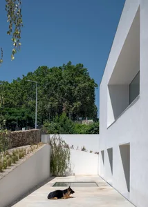 A sleek, modern house exterior with concrete walls and a garden.