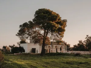 Modern residential exterior featuring a concrete house with stone accents and a lush green landscape.