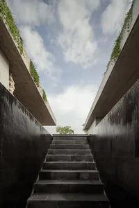 Modern concrete staircase with ivy plants on both sides.