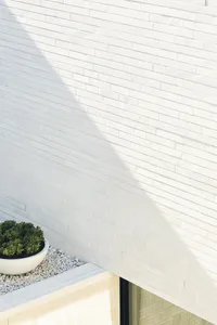 A white brick wall with a small green plant in a white pot on a white stone ledge.