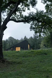 現代住宅採用金屬外牆，環繞綠意與樹木。