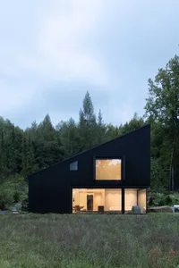 A modern black house with steel siding and large windows in a natural, wooded area.