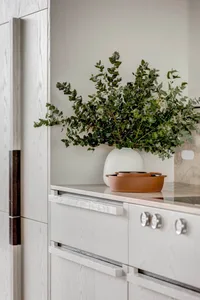 Modern minimalist kitchen featuring terracotta pots and a vase filled with greenery.