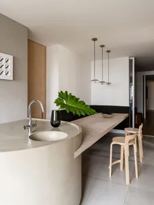 A modern kitchen with a circular concrete countertop, a large green leafy plant, and minimalist furniture.