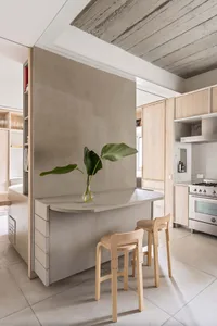 A modern kitchen features concrete walls and walnut furniture with a single plant on a bar counter.