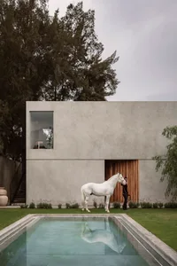 A modern minimalist house with a concrete facade and a white horse standing in front of it.