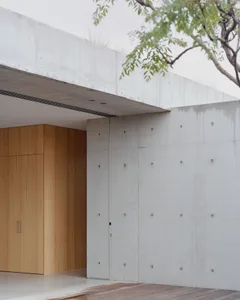 Minimalist exterior design featuring a concrete wall and wooden door.