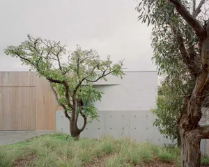 A modern exterior with a garden featuring concrete architecture and greenery.