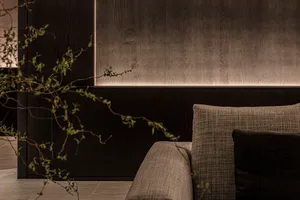 Modern living room with dark wood furniture and minimalist design elements.