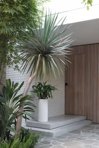 An industrial entryway featuring a concrete planter with a palm plant and a wooden panel wall.